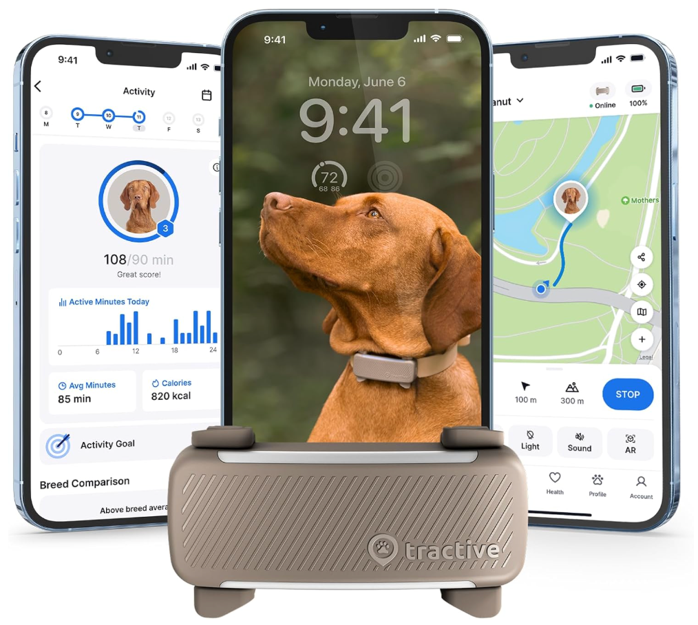 Smart Dog Collar GPS smart dog collar GPS