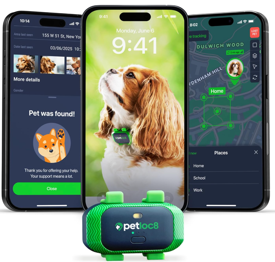 Smart Dog Collar GPS smart dog collar GPS