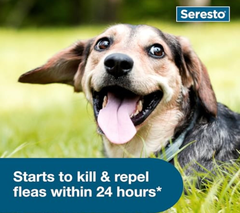 Seresto Flea and Tick Collar for Dogs seresto flea and tick collar for dogs