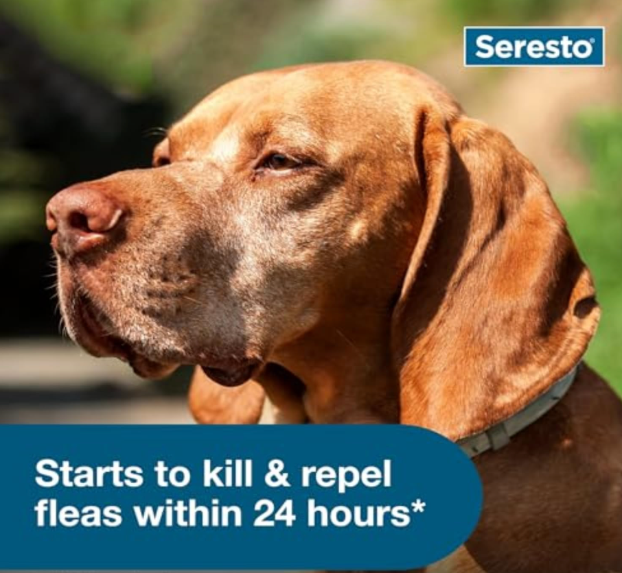 Seresto Flea and Tick Collar for Dogs seresto flea and tick collar for dogs