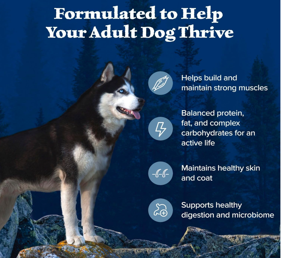 High Protein Dog Food