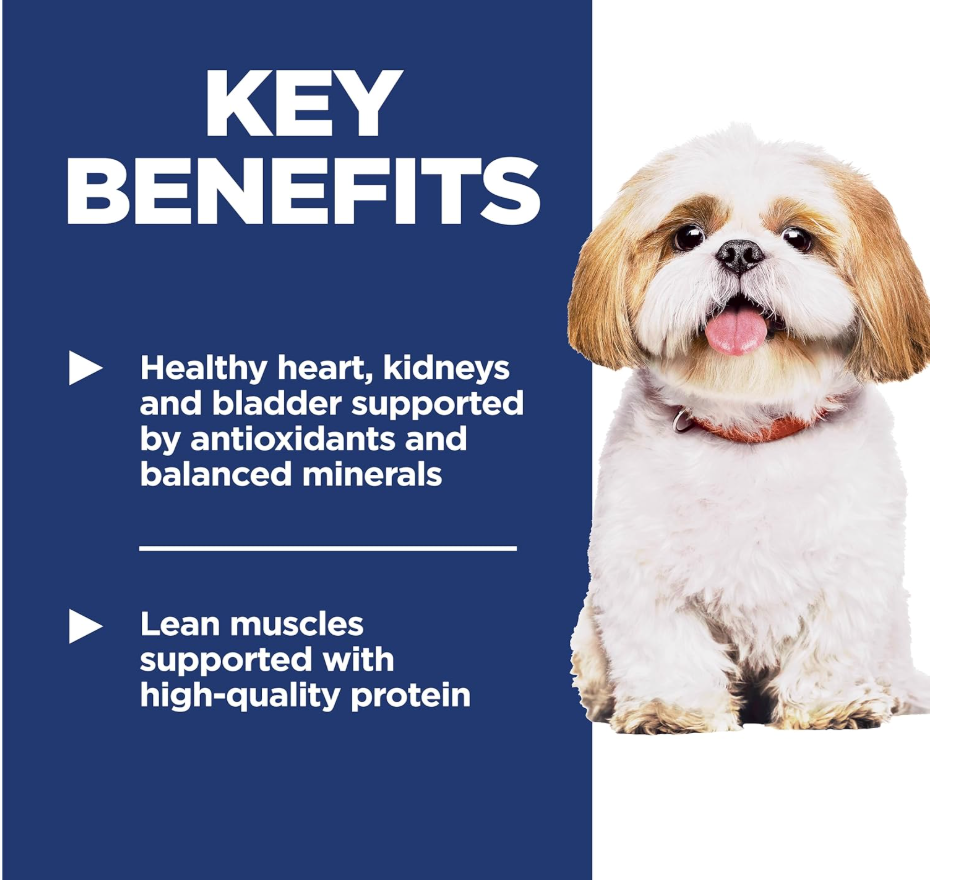 High Protein Dog Food