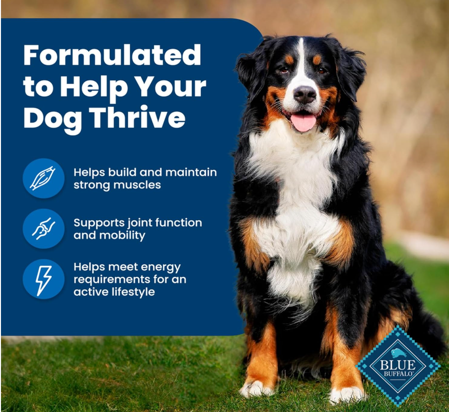 High Quality Dog Food