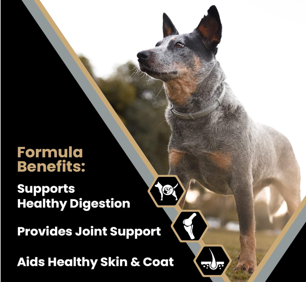 High Quality Dog Food