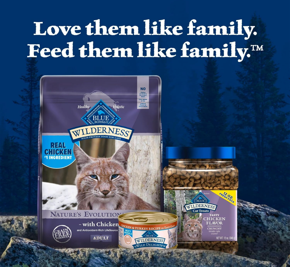 high protein cat food
